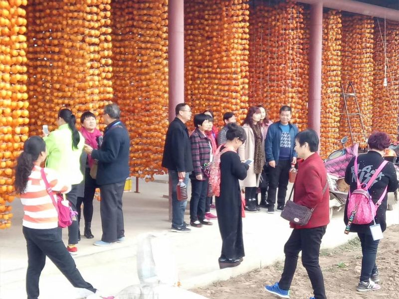 柿饼1~2两