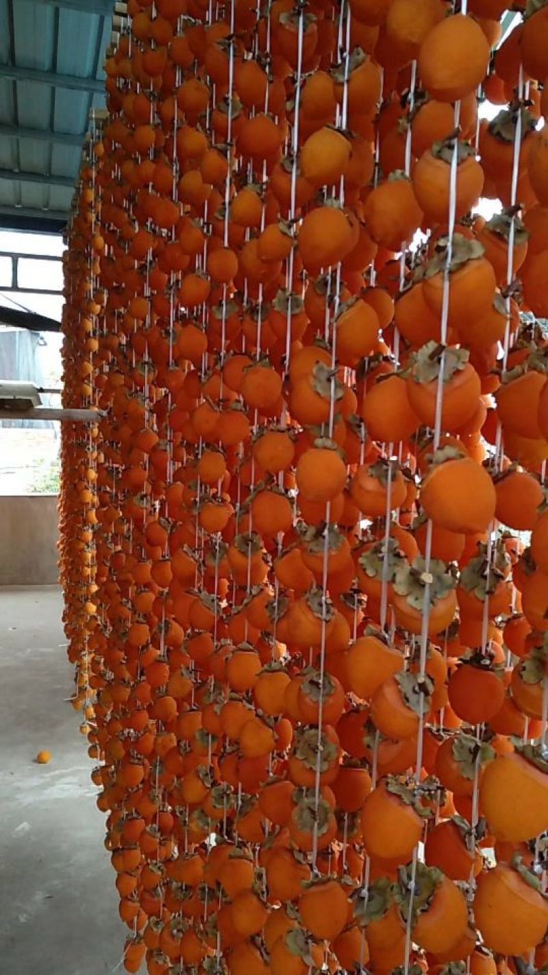 柿饼1~2两
