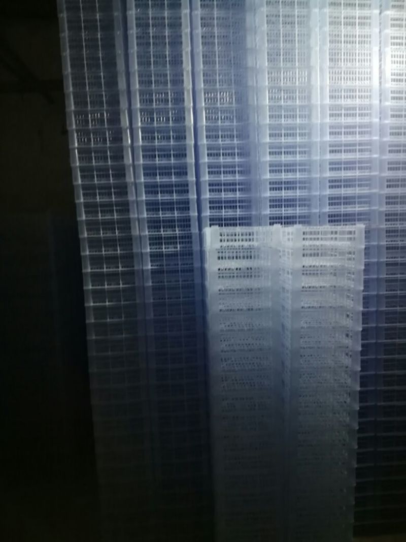 柿饼1~2两