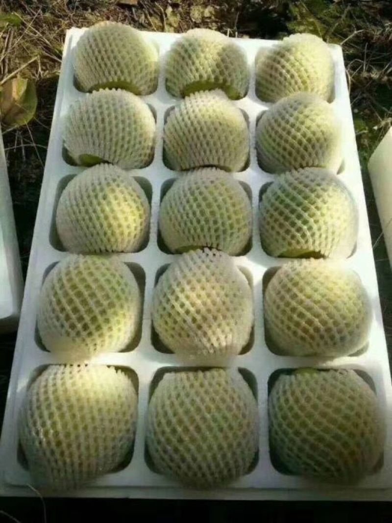 王林苹果，冷库货，箱装，框装都有，价格六毛到一块，货多
