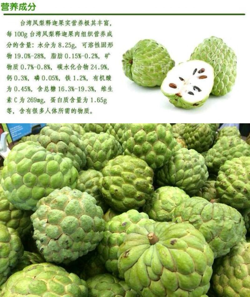 释迦苗翻荔枝苗