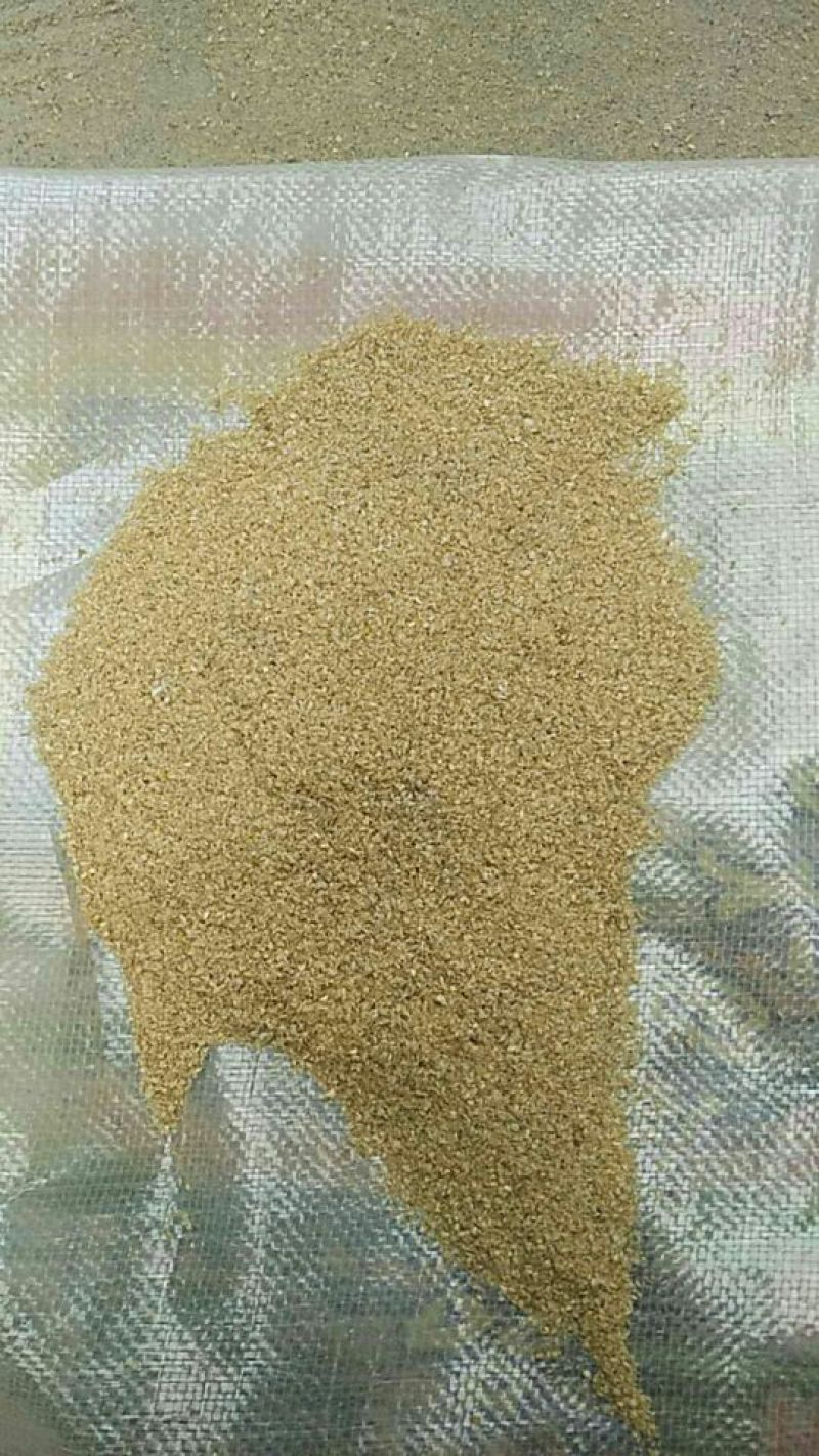 米糠小米糠