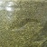 双季槐米花蕾统