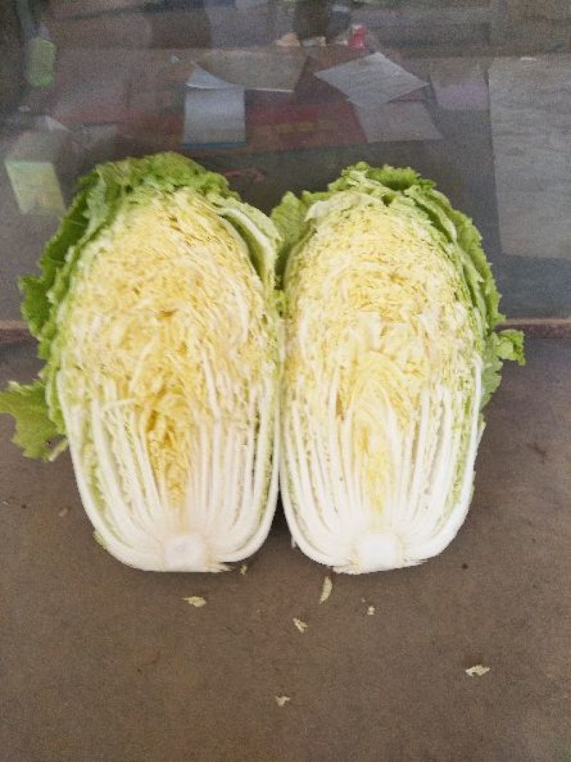 大白菜4~6斤净菜