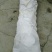拐枣树苗80~110cm