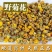 野菊花散装