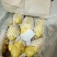 山东荷兰十五土豆大量供应，通货2两以上