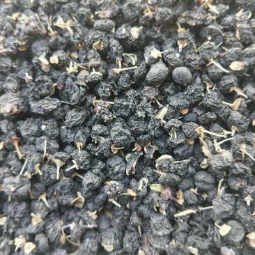 黑枸杞干货头茬