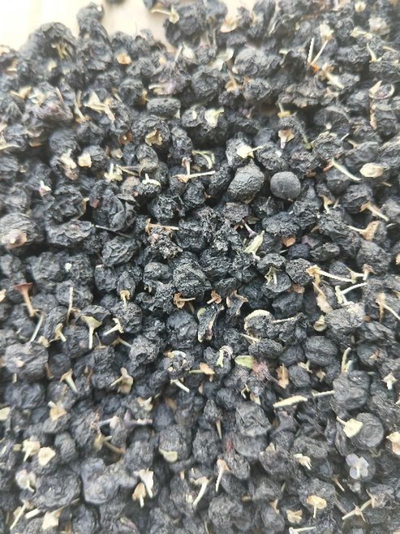黑枸杞干货头茬