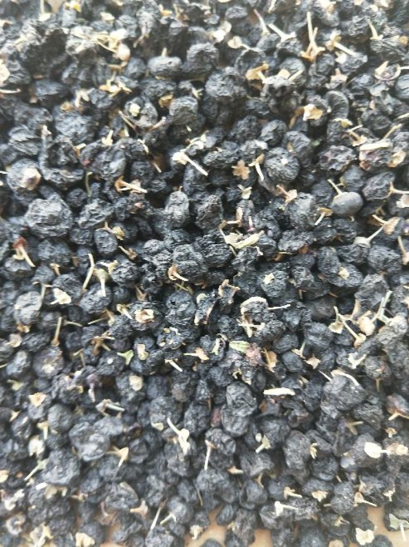 黑枸杞干货头茬