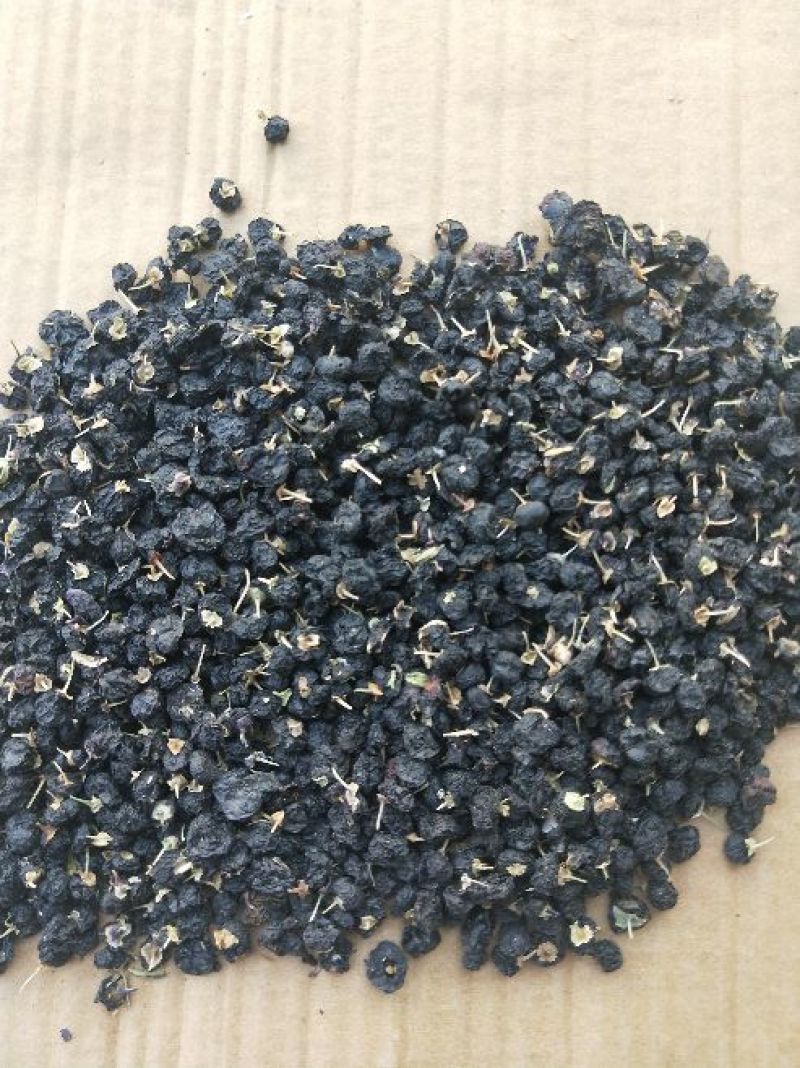 黑枸杞干货头茬