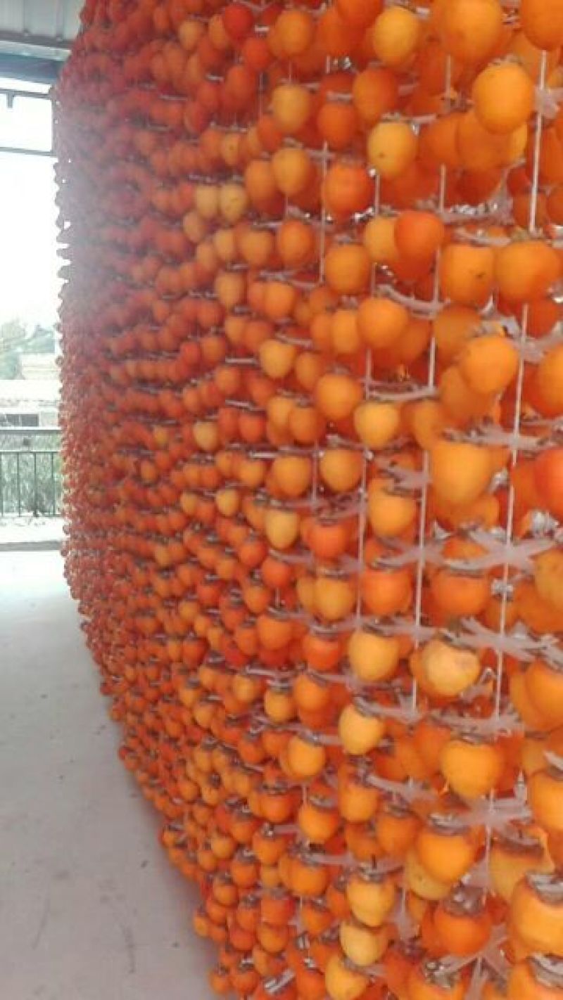 柿饼1两以下