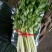 西芹60cm以上