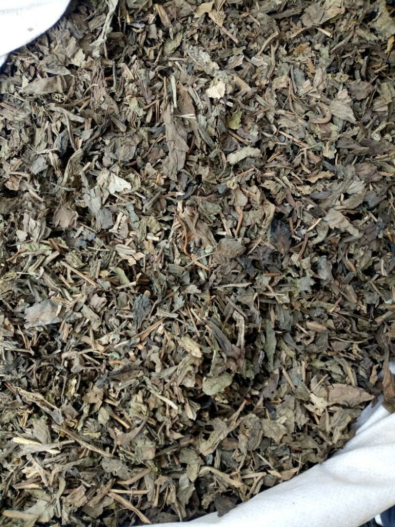 大青叶河北干货2斤包邮量大从优欢迎选购