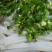 蕉芋粉散装