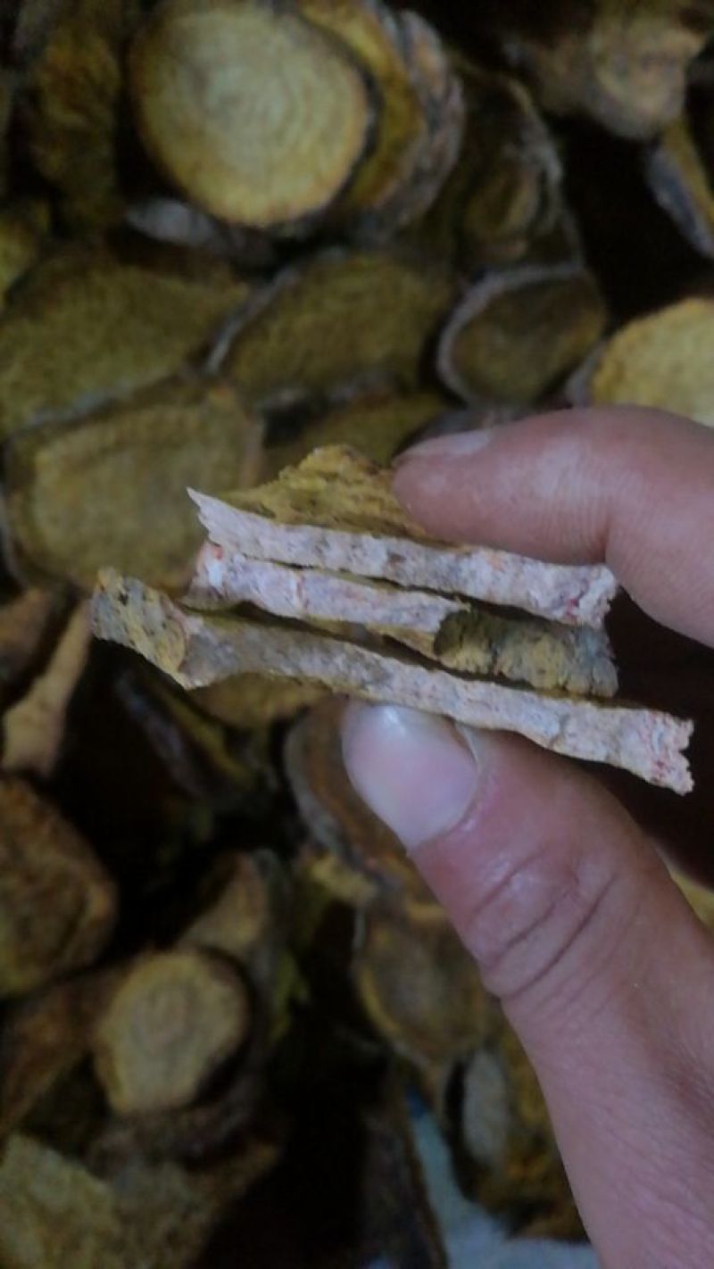 药用大黄产地直销，可视频看货，支持线上购买。