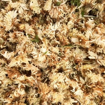 药用菊花袋装