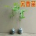 沉香树苗黄花梨树苗金丝楠树苗