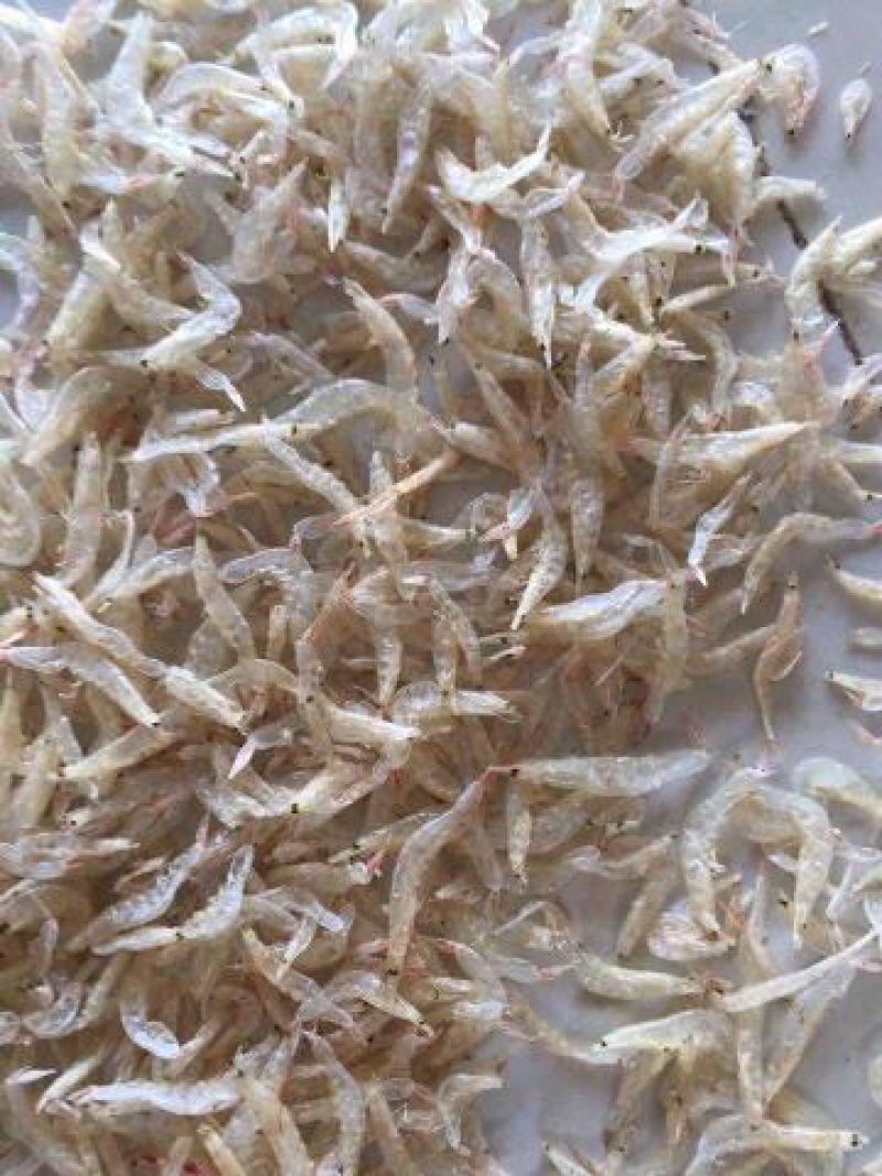 虾皮特级