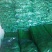 【今日推荐】芹菜山东芹菜新鲜芹菜现摘现发欢迎咨询