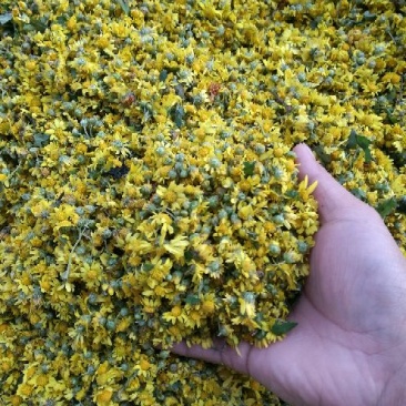 野菊花袋装
