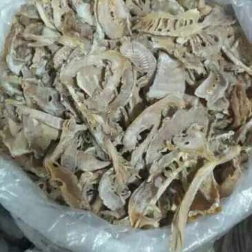 干笋