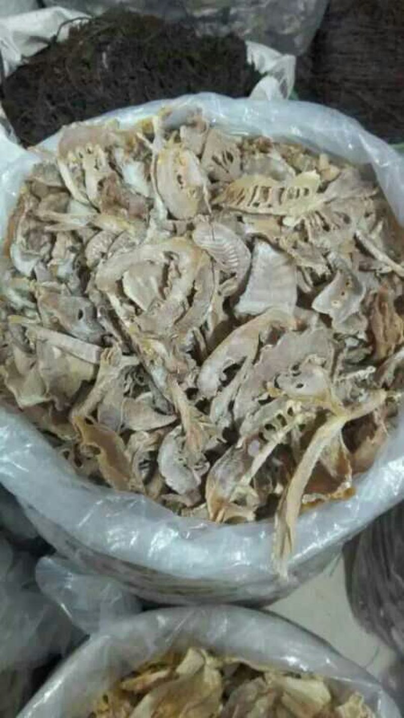 干笋