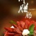 香肠