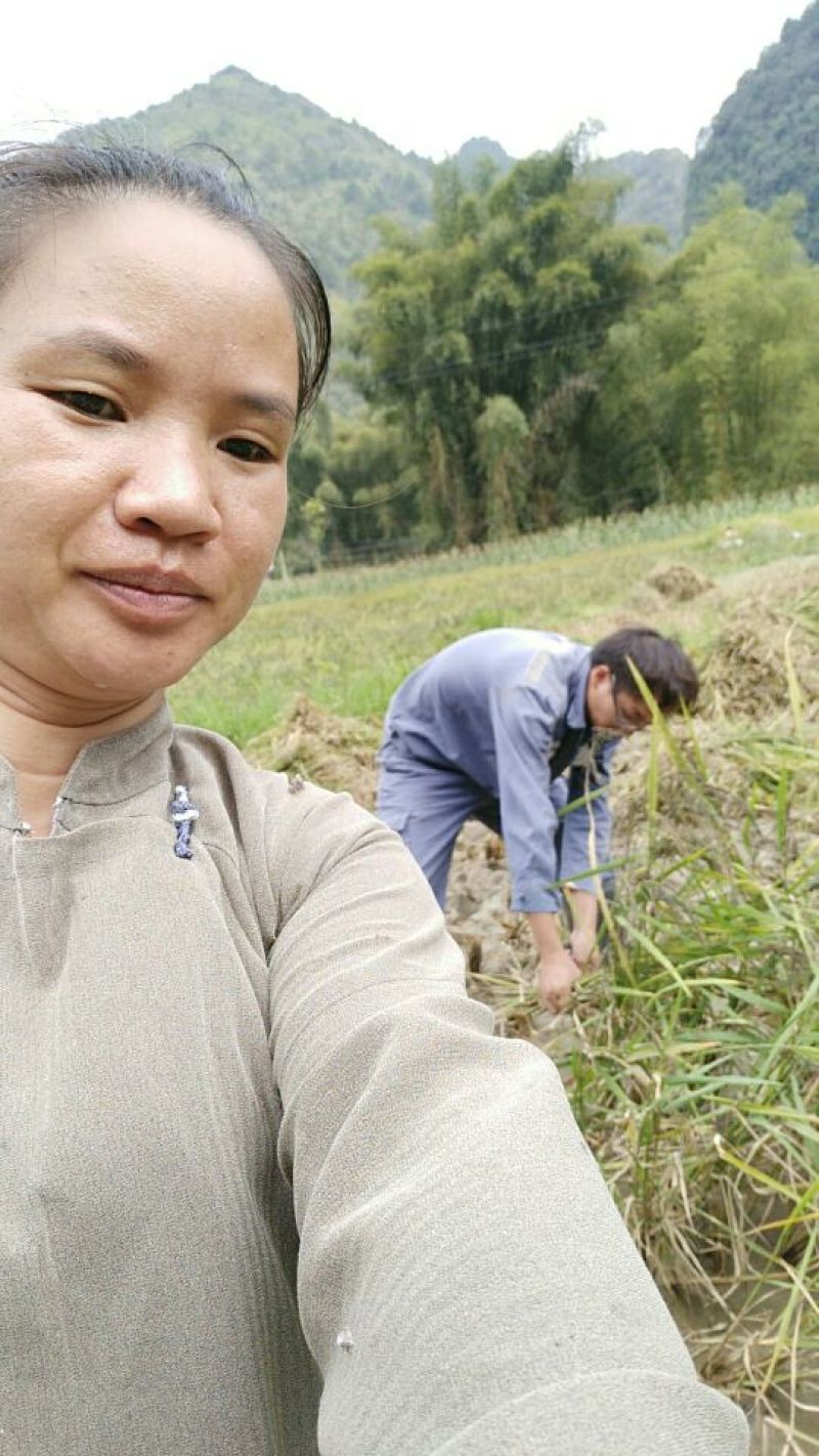 黑糯米散装
