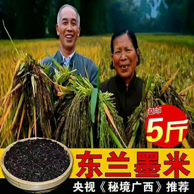 黑糯米散装