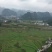 黑糯米散装