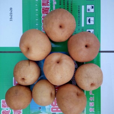 晚秋黄梨纸袋200~250g