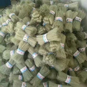红薯粉条中粉