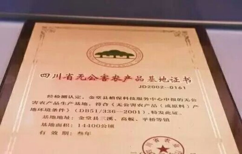 金堂脐橙70~75mm9斤大果包邮肉嫩多汁