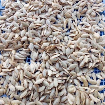 南瓜籽8%