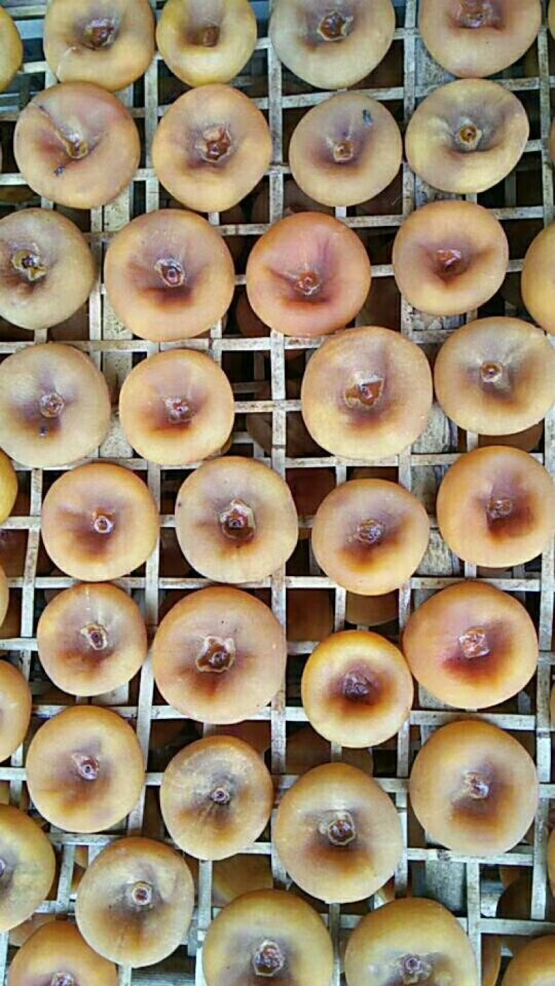 柿饼1~2两