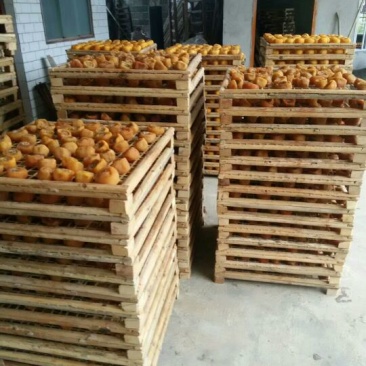 柿饼1~2两