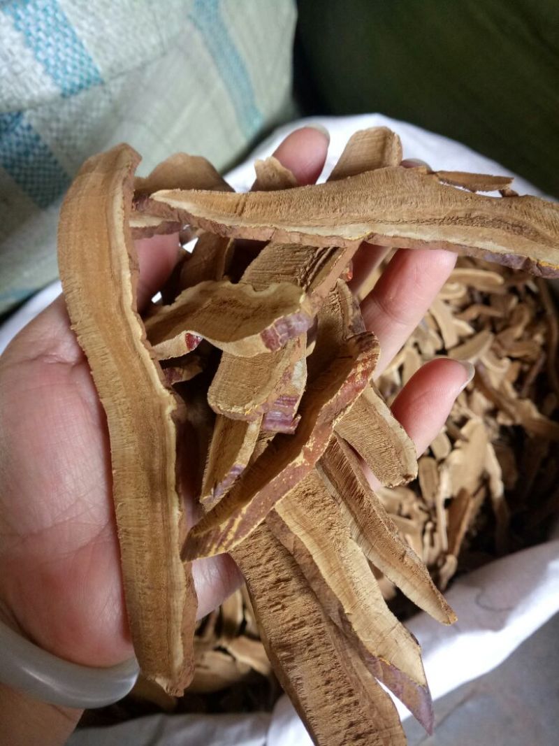 中药材灵芝山东干货人工种植2斤起包邮