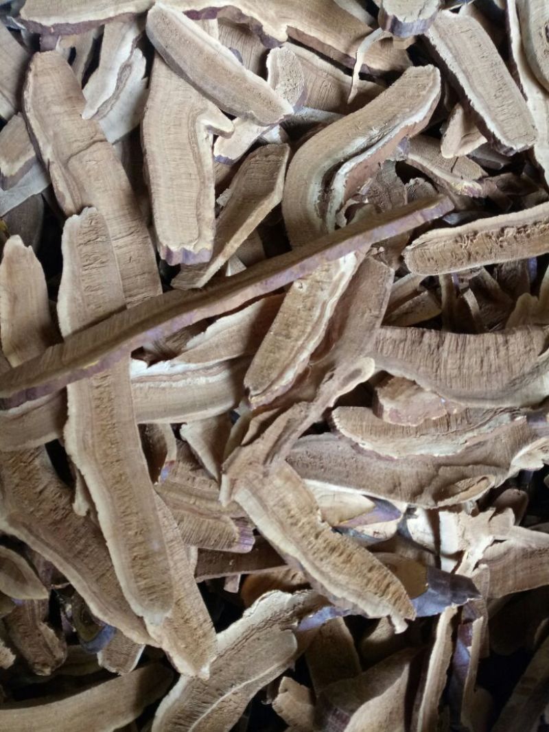 中药材灵芝山东干货人工种植2斤起包邮