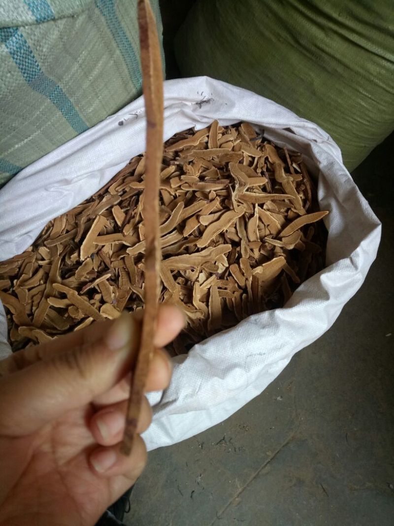 中药材灵芝山东干货人工种植2斤起包邮