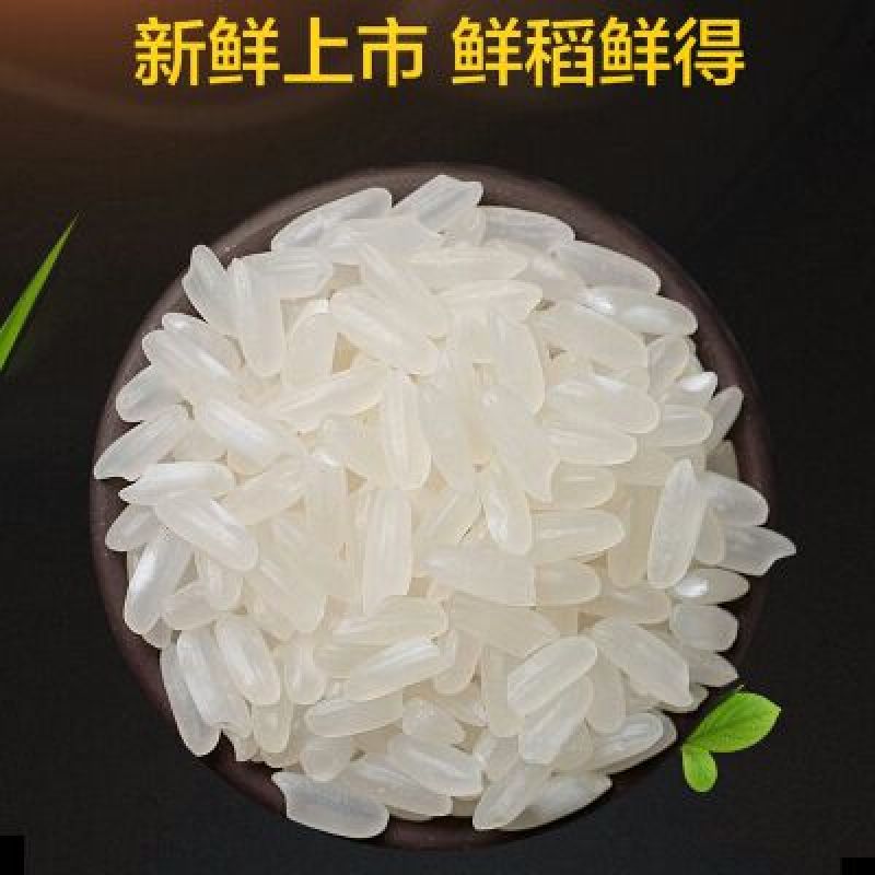 大米新米一级