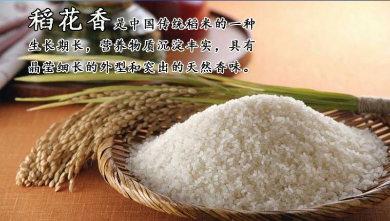 大米新米一级