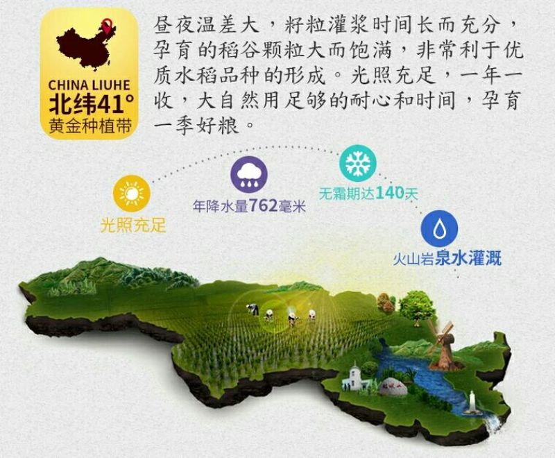 大米新米一级