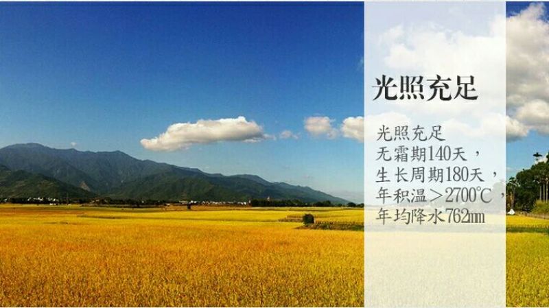 大米新米一级