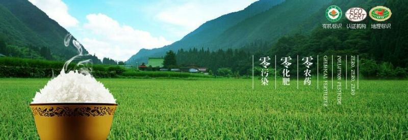 大米新米一级