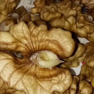 核桃仁原味