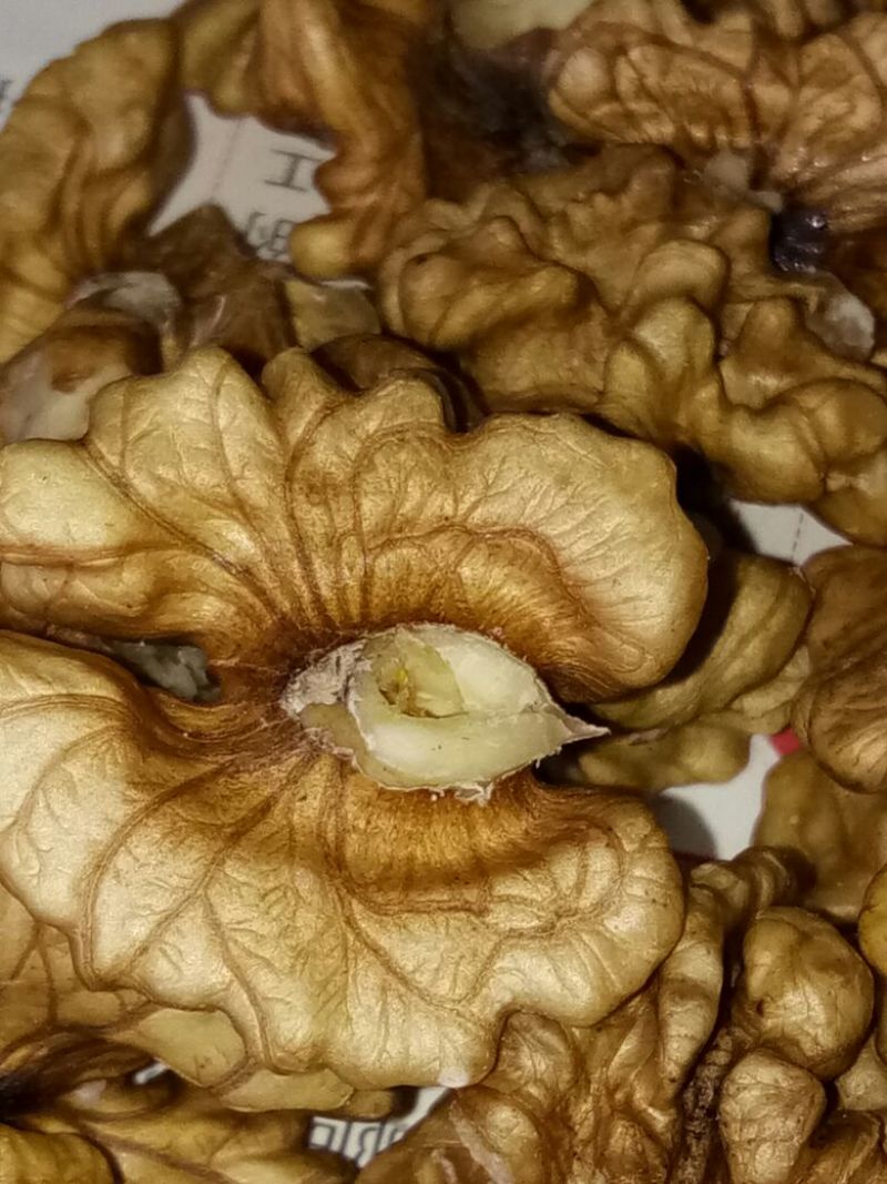 核桃仁原味