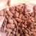 野生天麻特级