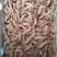 立虾食用冻虾