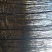 黄山栾树2~4cm4~6cm2.5~3米